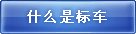 ʲô�Ǳ공