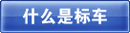 ʲô�Ǳ공