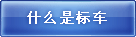 ʲô�Ǳ공