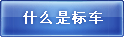 ʲô�Ǳ공