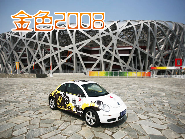��ɫ2008